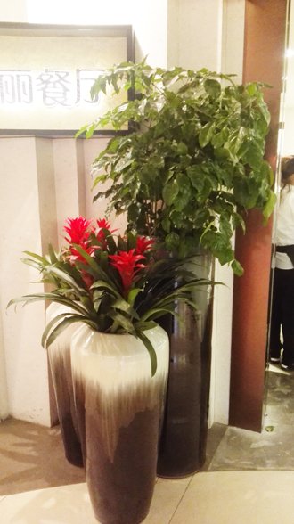 �����̻�ֲ������